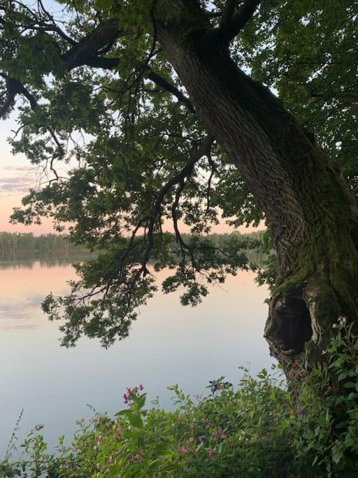 Příjemná chaloupka na Třeboňsku Vila Chlum u Trebone Exterior foto