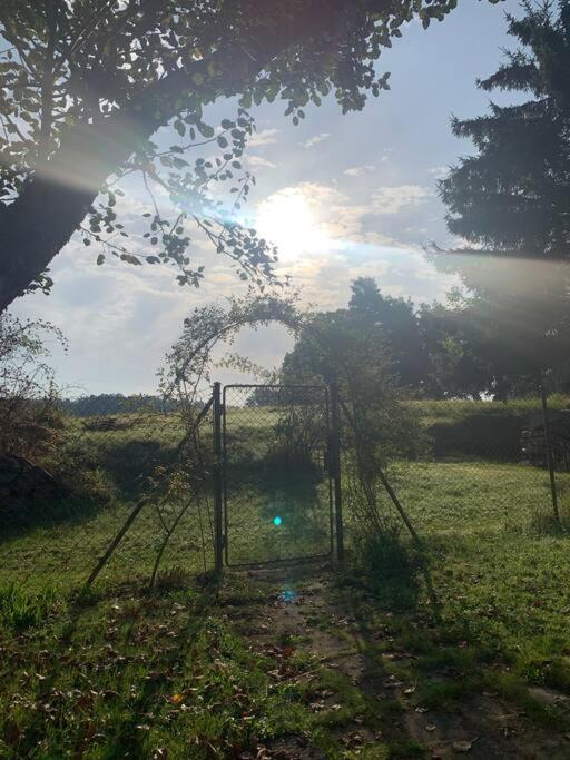 Příjemná chaloupka na Třeboňsku Vila Chlum u Trebone Exterior foto