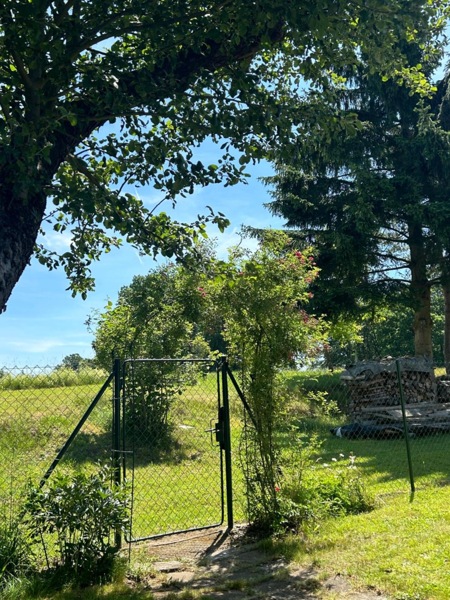 Příjemná chaloupka na Třeboňsku Vila Chlum u Trebone Exterior foto